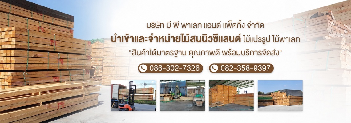 นำเข้าและจำหน่ายไม้สนนิวซีเเลนด์